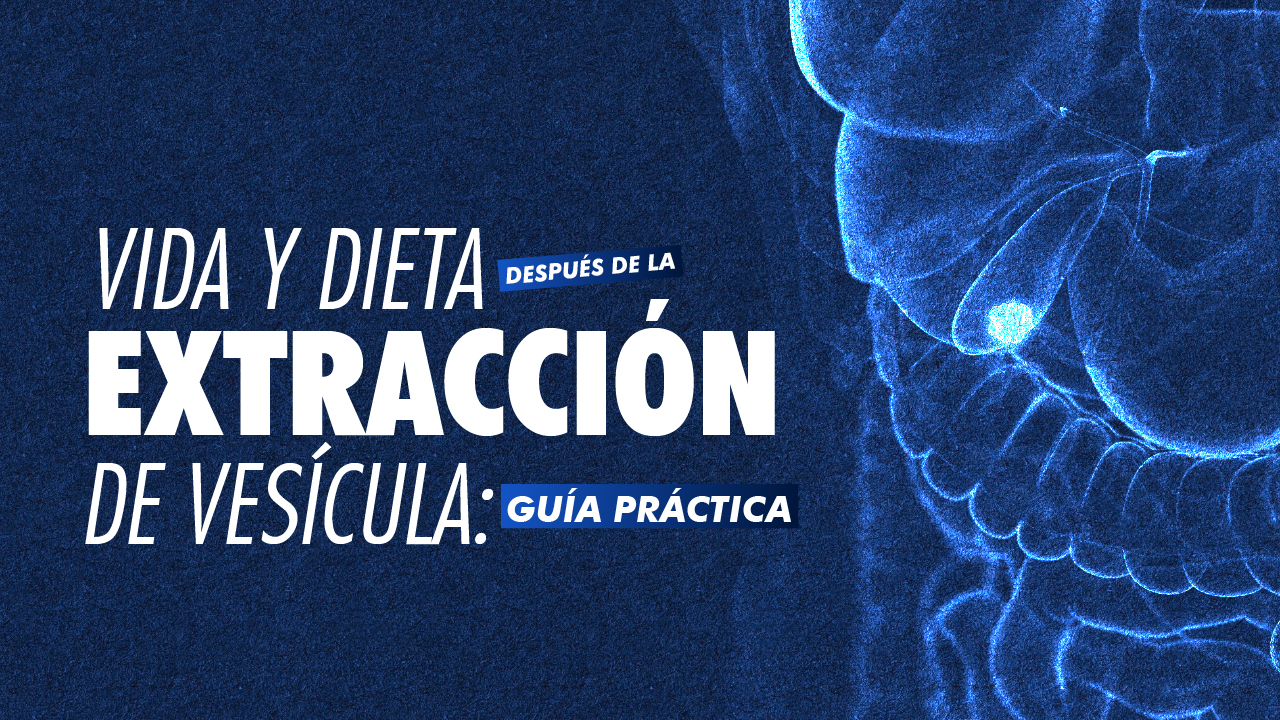 Portada · Vida y dieta después de la extracción de vesícula: guía práctica